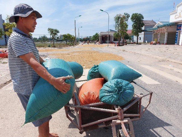 Gia đình người nông dân này bị ướt hơn 1 tấn lúa, ông chở ra đường phơi. Ảnh: TT.