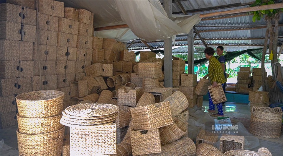 Đến thăm hợp tác xã Thủ công mỹ nghệ Thuận Phát, đan lục bình là nghề đang rất “thịnh” của vùng quê này. Bình quân mỗi tháng hợp tác xã Thuận Phát xuất bán các sản phẩm cho nhiều công ty thu mua và mang về khoảng 300 triệu đồng chia lại cho các thành viên, chi trả nguồn nhân công và nguyên liệu.