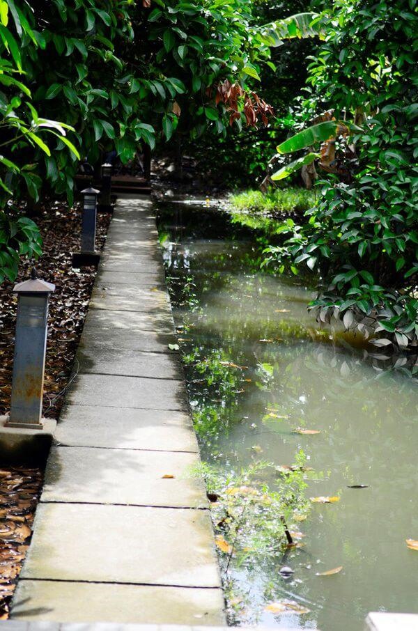 Con kênh nhỏ dẫn nước vào vườn
