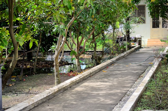 Các con đường nhỏ đi vào khu vườn