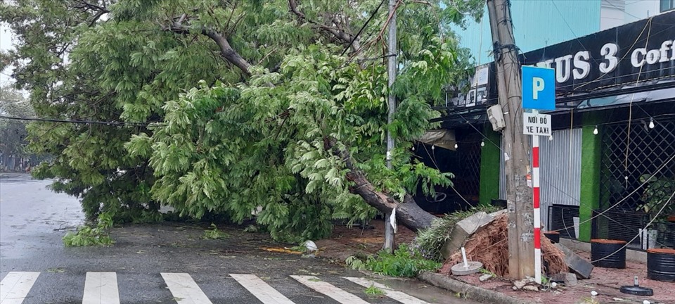 Mưa bão gây tốc mái, hư hỏng nhiều nhà dân ở TP. Quảng Ngãi.
