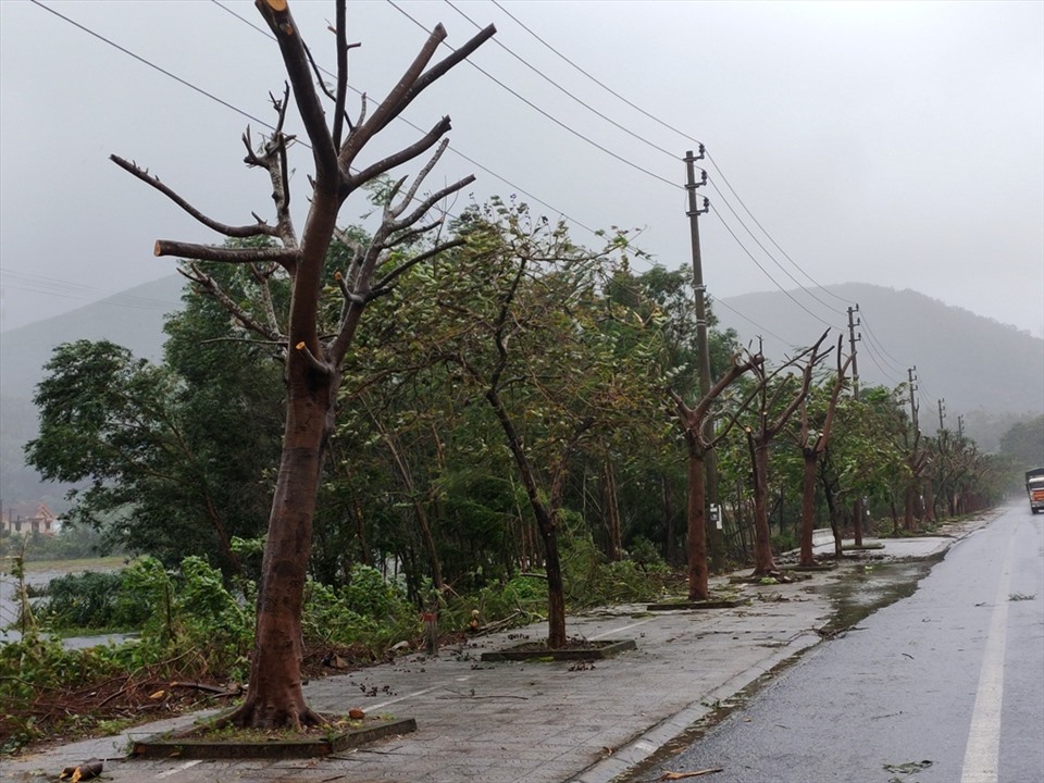 Rất may, trước khi bão số 9 đổ bộ, chính quyền địa phương đã cho cắt tỉa những cây to ven tuyến đường. Ảnh: Quách Du