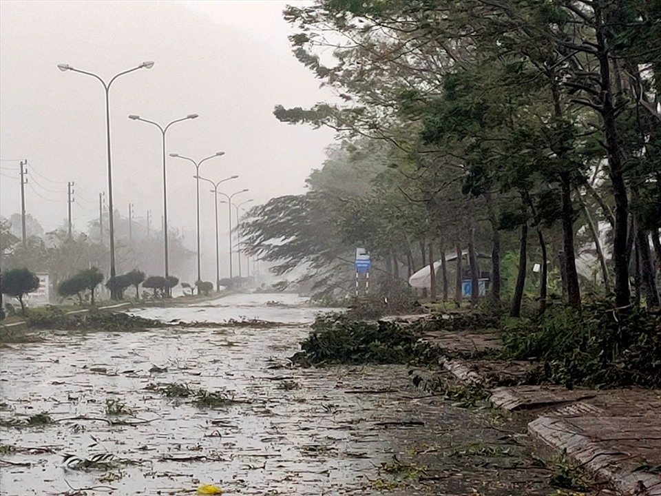 Trong chiều ngày 28.10, gió bão tại huyện Phú Lộc (Huế) rất mạng, khiến hàng loạt cậy trên tuyến quốc lộ 1A đổ rạp. Ảnh: Quách Du