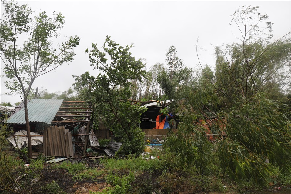 Theo dự báo, việc khắc phục hậu quả sau bão tại huyện Bình Sơn sẽ còn kéo dài nhiều ngày tới. Ảnh: Hữu Long