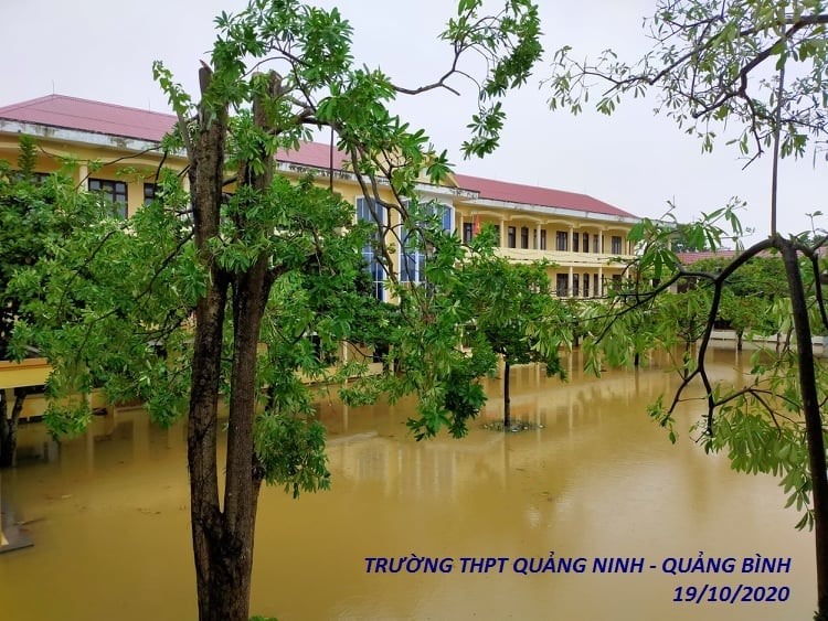 Trường THPT Quảng Ninh ngập trong biển nước (Ảnh: FBNV)