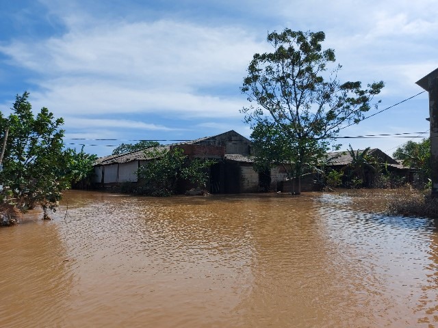 Cụm trang trại ở thôn Kênh, xã Cẩm Thành này bị ngập sâu đến 2m trong đợt lũ lụt vừa qua, khi nước nhiều nơi đã rút, trại vẫn còn ngập tới đầu gối. Ảnh: TT.