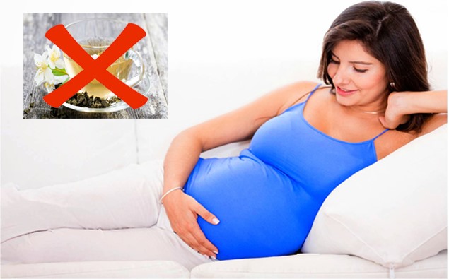 Phụ nữ có thai không nên uống trà hoa nhài. (Đồ họa: Hồng Nhật)