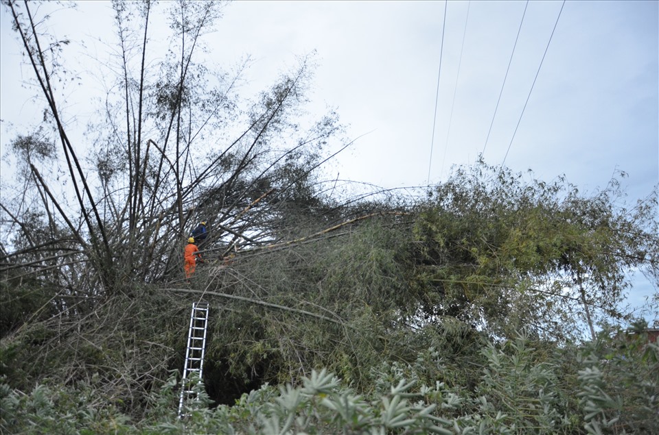 Điện lực Quảng Ngãi khắc phục sự cố điện sau bão. Ảnh: Điện lực miền Trung