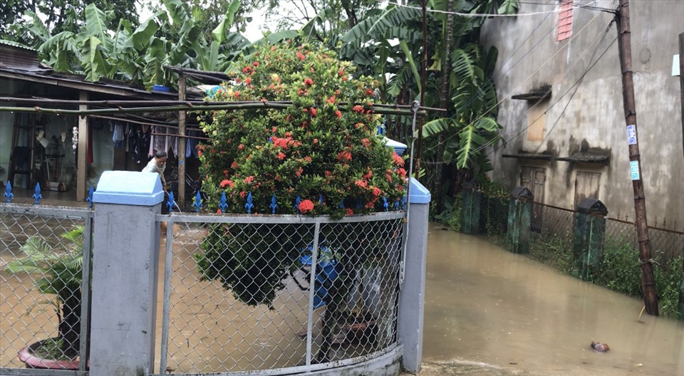 Mưa lớn kéo dài khiến nhiều khu vực xã Đại Đồng, huyện Đại Lộc, tỉnh Quảng Nam ngập lụt nặng nề. Tuy nhiên, đến sáng 9.10, lượng nước đã rút xuống đáng kể. Ảnh: Mai Hương