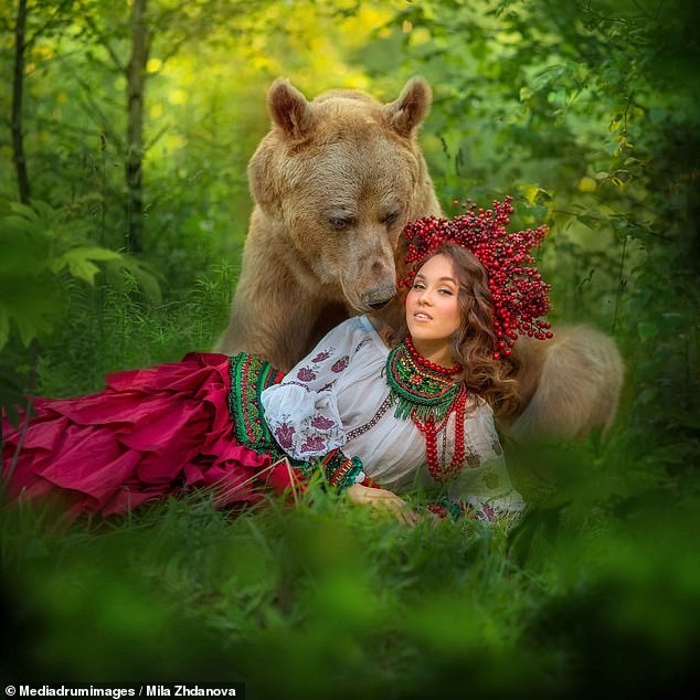 Để hoàn thành bộ ảnh, nhiếp ảnh gia phải làm việc trong suốt nhiều tháng. Gấu Stepan chỉ có thể làm việc 30 phút mỗi lần. Ảnh: Daily Mail/Mediadrumimages