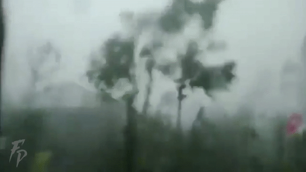 Siêu bão Goni đổ bộ Philippines vào sáng 1.11. Ảnh: Fobos Storm