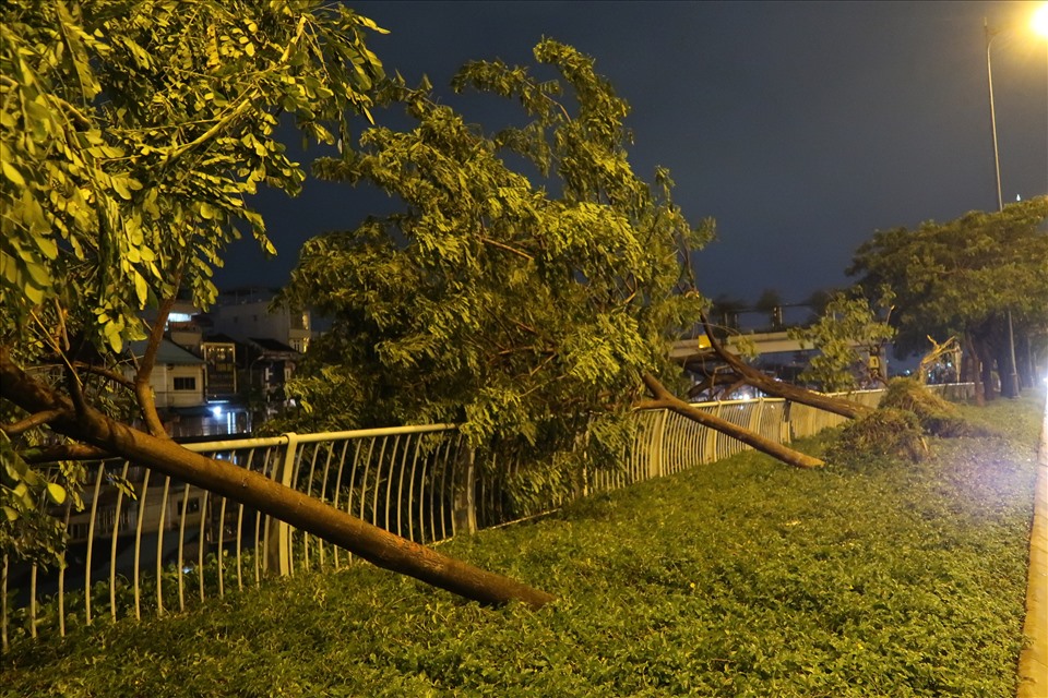 Một loạt cây xanh trên đường Võ Văn Kiệt đổ ngã. Ảnh: Hữu Huy