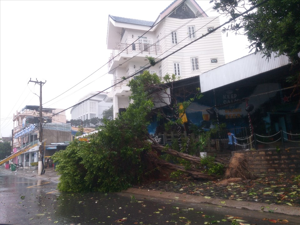 Cây cối ngã đổ khắp nơi ở huyện Vạn Ninh, Khánh Hòa.