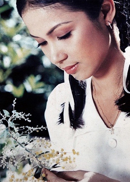 Tham gia loạt vai phụ Việt Trinh chưa được khán giả nhớ đến nhiều. Phải đến vai Oanh trong phim Ngọc trong đá (1991) của đạo diễn Trần Cảnh Đôn, cô mới thật sự tỏa sáng.