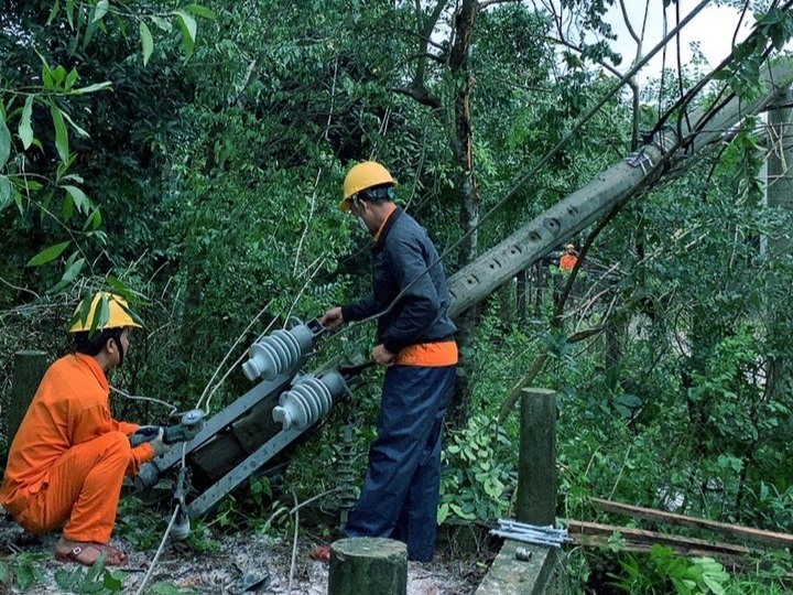 Công nhân xử lý sự cố do cây xanh đổ vào đường dây gây ngã cột, đứt dây. Ảnh: PC Quảng Trị