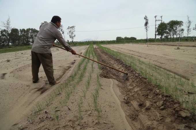 Miền Trung đang khẩn trương đẩy mạnh sản xuất, khắc phục hậu quả của các trận lũ lụt, mưa bão. Ảnh: Văn Giang