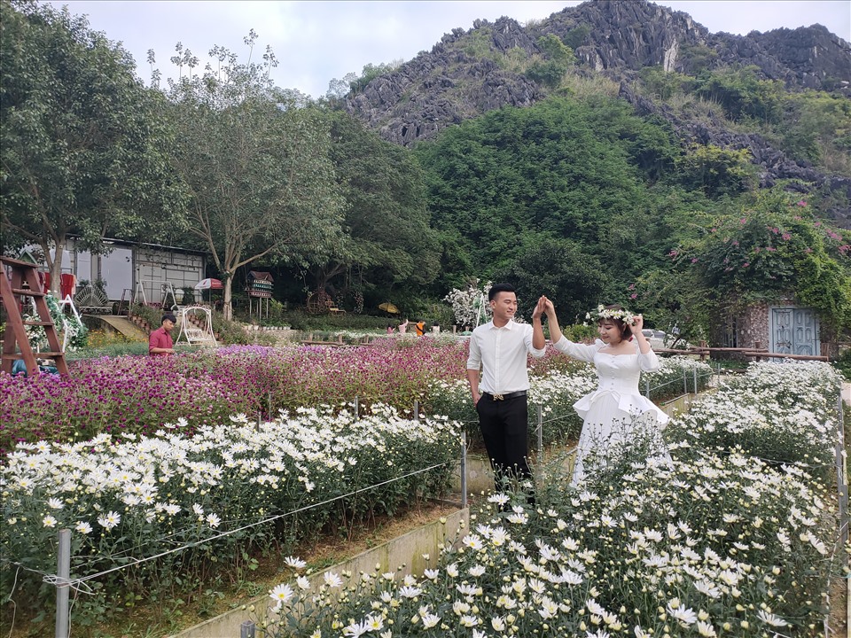 Mỗi ngày có hàng chục đôi uyên ương đến vườn hoa để chụp ảnh cưới. Ảnh: Q.D