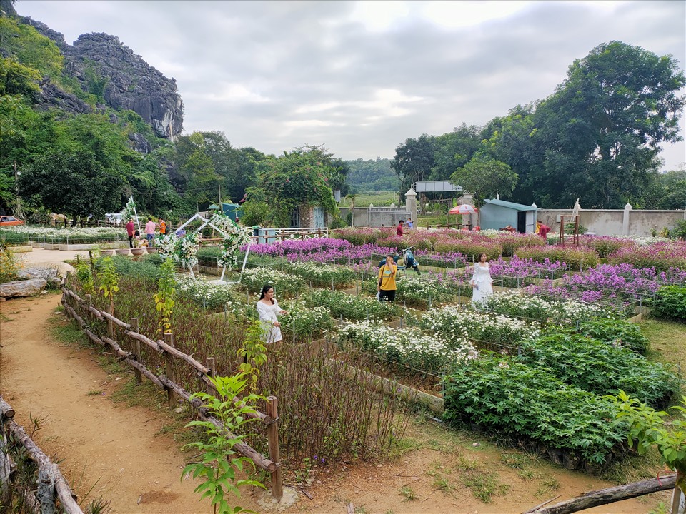 Vườn hoa ngay trước cửa động Tiên Sơn (TP. Thanh Hóa) thu hút đông đảo du khách đến chụp hình. Ảnh: Q.D