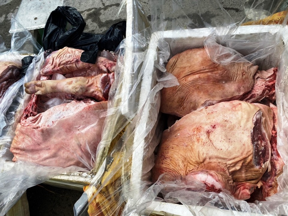 Số thịt lợn nhập lậu trôi nổi đã bị chuyển màu, có biểu hiện hư thối. Ảnh: QLTT