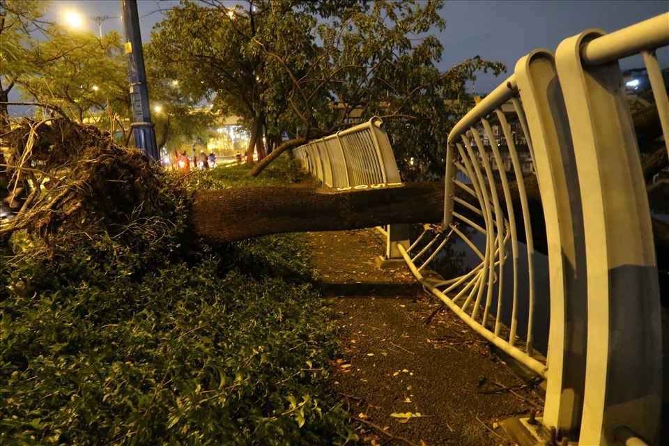 Trong cơn mưa dông tối 31.10.2020, hàng loạt cây xanh trên đường Võ Văn Kiệt (Quận 6, TPHCM) ngã, đổ đè lên nhiều đoạn lan can bờ kênh Lò Gốm. Ảnh: Hữu Huy