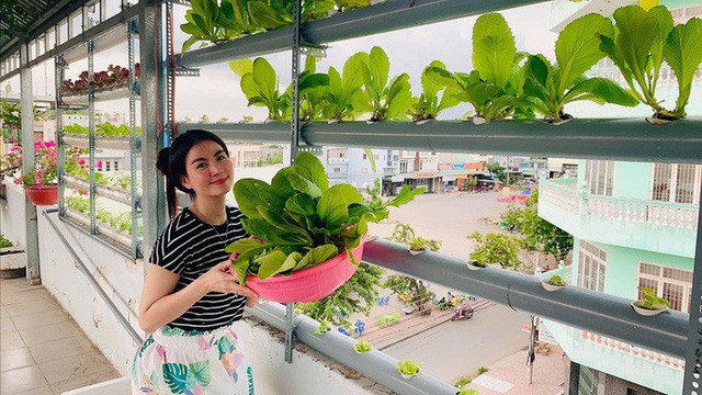 Kha Ly tiết lộ rằng mục đích của việc trồng rau trên sân thượng là để đảm bảo rau sạch cho gia đình. Ngoài ra, các loại rau được hai vợ chồng chọn rất dễ sống không phải chăm sóc nhiều.