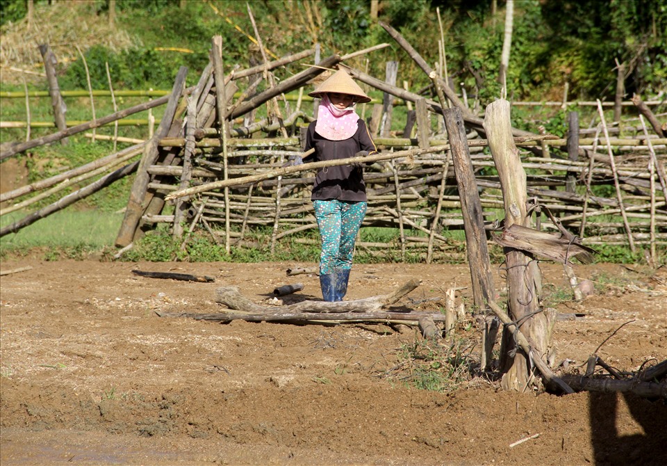 Bà Đinh Thị Hoanh (31 tuổi, xã Bok Tới) cho biết, sau những đợt mưa lũ vừa qua, gần 2 sào lúa của gia đình bà bị bồi lấp gần như toàn bộ.