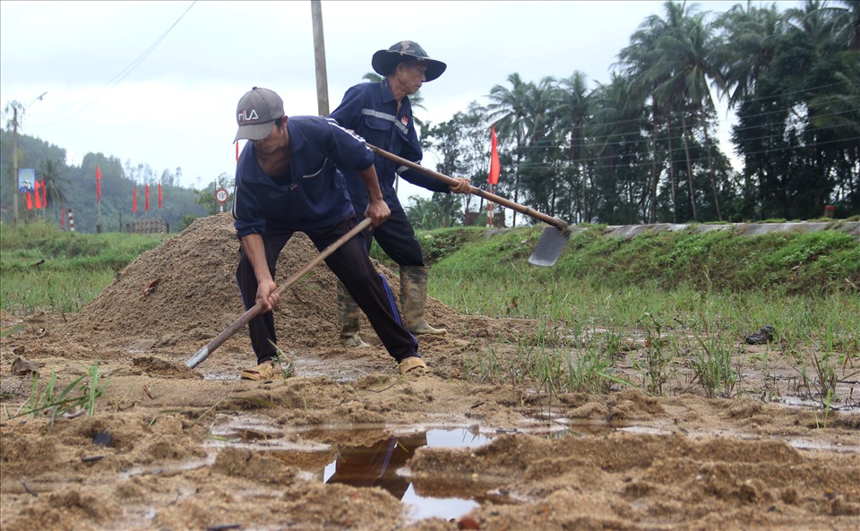 Tương tự, ở huyện An Lão, hơn 1 sào đất trồng lúa của ông Nguyễn Phú Quốc (thôn Trà Ông, xã An Hoà) cũng bị sa bồi nặng. “Như tôi có 1 sào ruộng mà bồi nặng, đời sống người dân chỉ có miếng ruộng nếu bị bồi nặng thì chỉ có bỏ nên rất khó khăn” – ông Quốc cho hay.