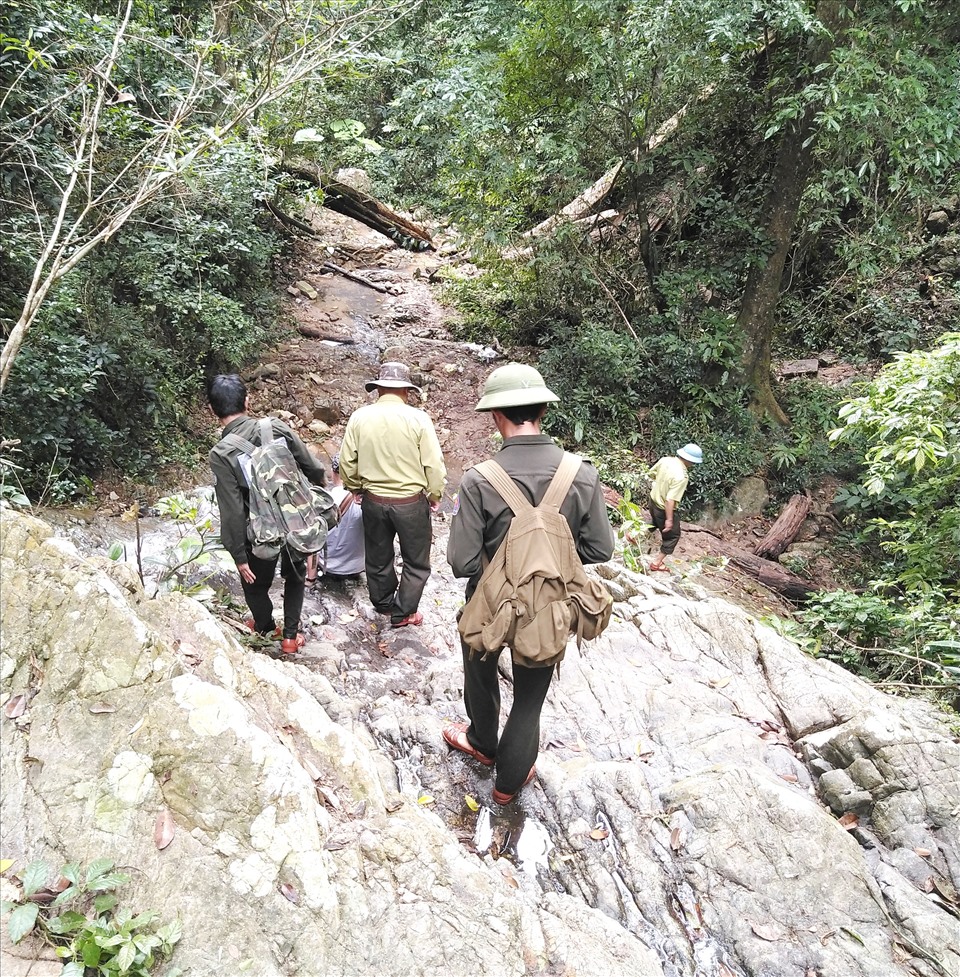 Công an huyện Kbang, Gia Lai vừa bắt giữ 3 đối tượng liên quan đến vụ án phá rừng gỗ hương quý hiếm.