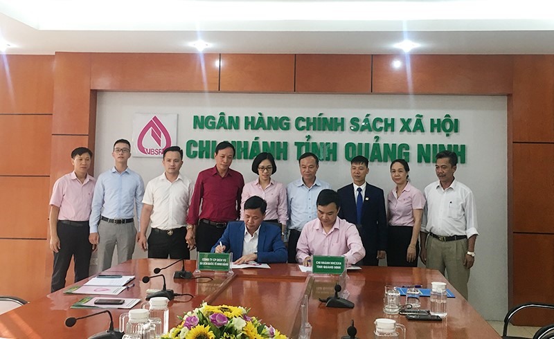 NHCSXH tỉnh Quảng Ninh ký hợp đồng tín dụng với người sử dụng lao động được vay vốn.
