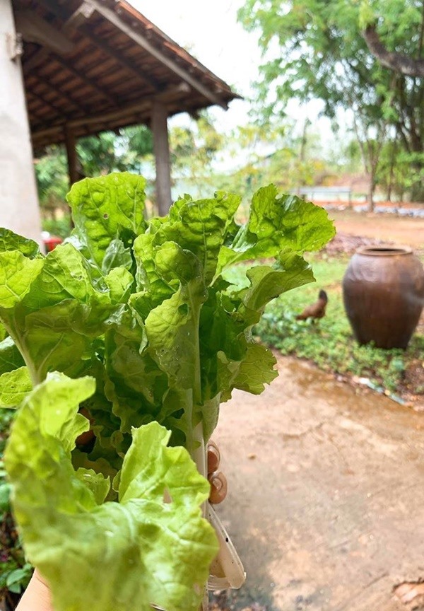 Nữ diễn viên tiết lộ việc duy chuyển từ nhà riêng lên trang trại ở Tây Ninh bằng phương tiện cá nhân. Cô muốn tạo cho gia đình thay đổi không khí, sống gần gũi với thiên nhiên hơn.
