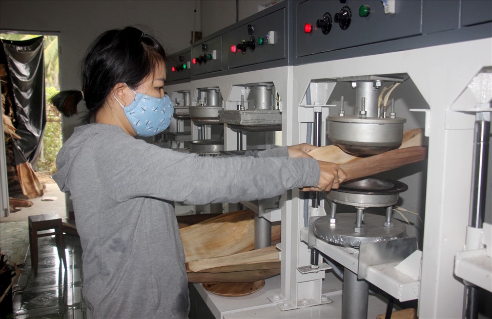 Cơ sở chế biến mo cau của Tịnh không chỉ giúp người dân địa phương có thêm nguồn thu từ bán phế phẩm mo cau mà còn tạo việc làm thường xuyên cho nhiều lao động địa phương.