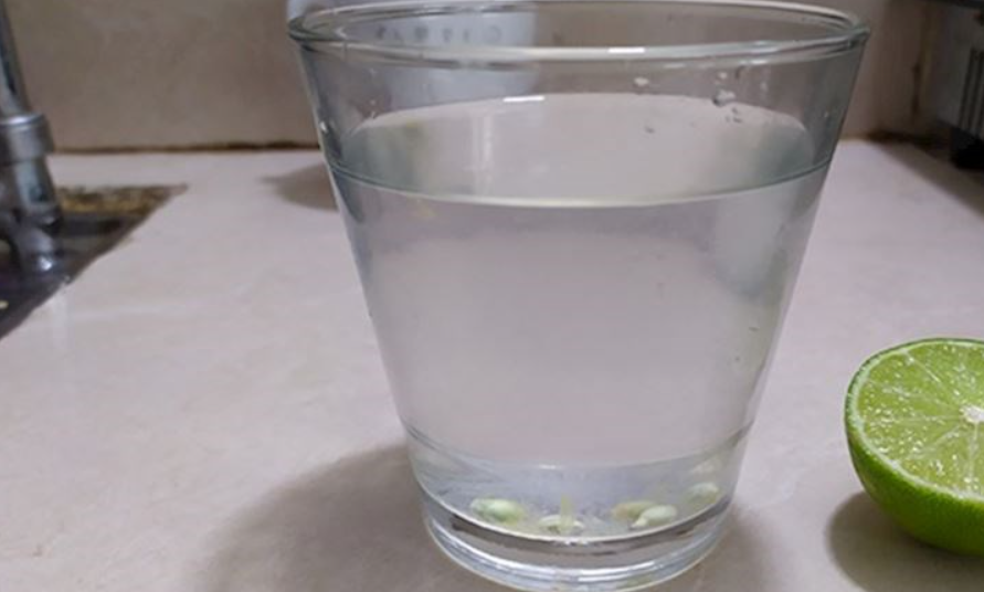 Nước súc miệng nước cốt chanh có tác dụng tốt trong việc loại bỏ mảng bám (Ảnh minh họa. Nguồn: Tuấn Đạt)