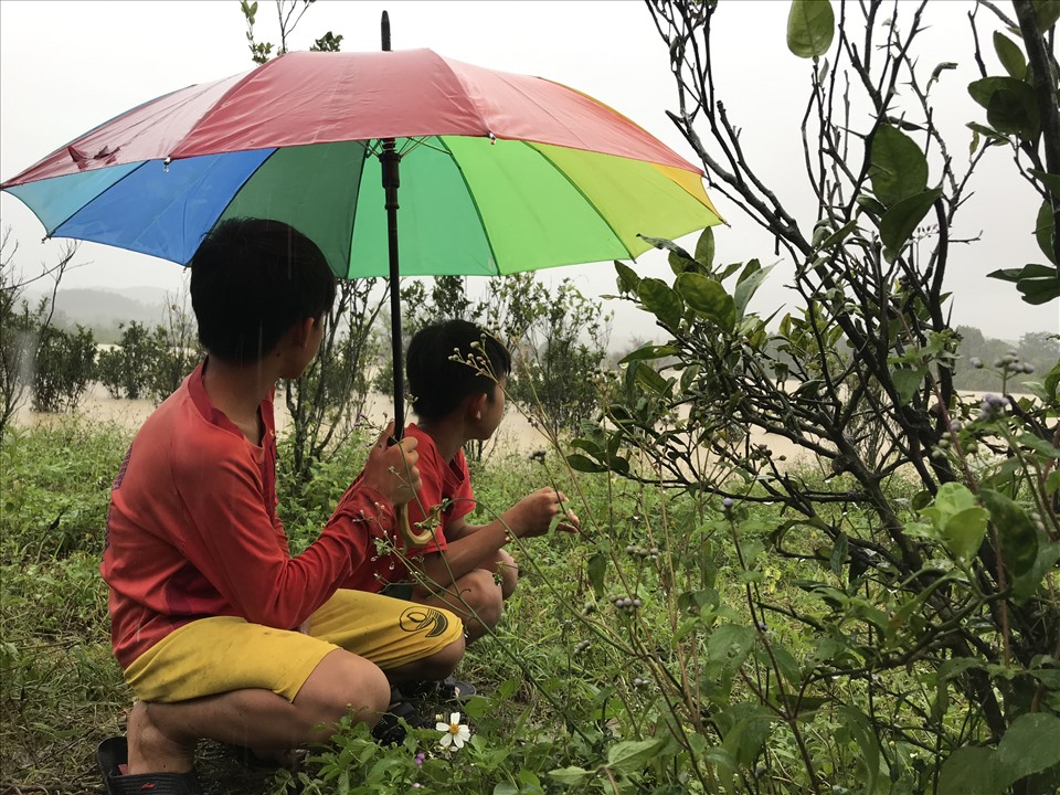 Hai anh em ở thôn 11 (xã Cư San, huyện M'Đrắk) ngồi lặng lẽ nhìn ra lòng hồ Krông Pách thượng. Ảnh: Bảo Trung