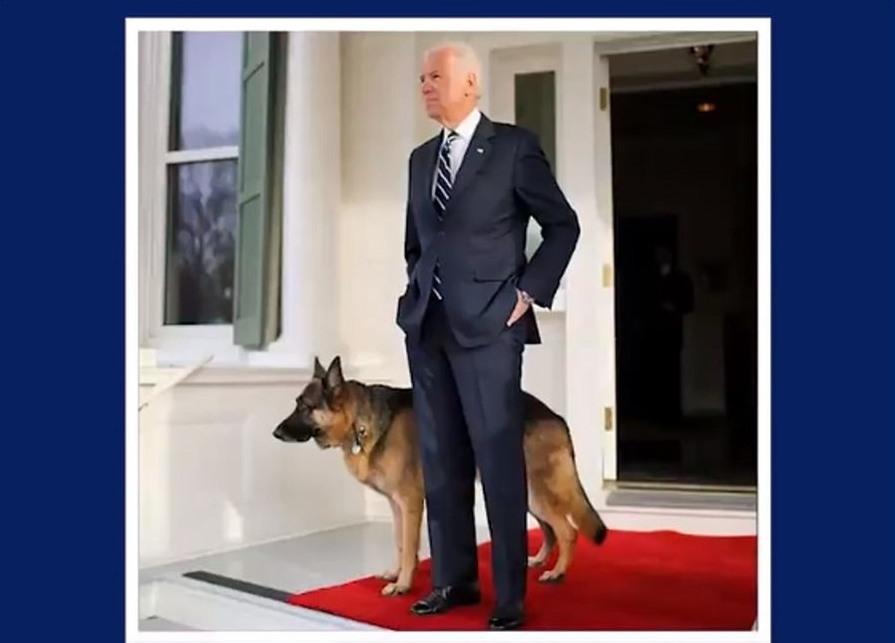 Trong chiến dịch vận động tranh cử tổng thống Mỹ 2020, ông Joe Biden từng chia sẻ mong muốn “đưa những chú chó trở lại Nhà Trắng“. Ảnh: Joe Biden Twitter.
