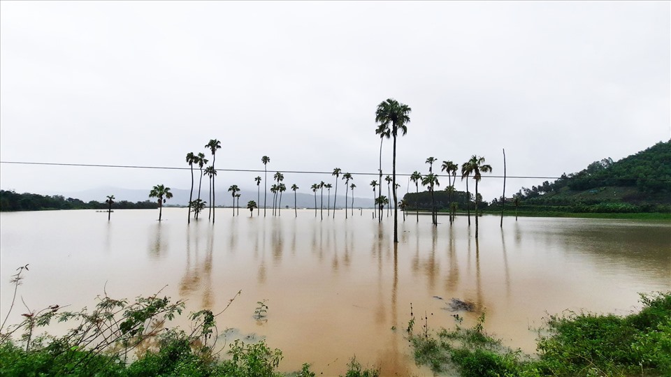 Thống kê của UBND huyện Krông Bông, mưa lớn trong những ngày qua đã khiến cho hàng loạt khu vực bị ngập lụt nặng nề, lượng mưa đo được có thời điểm lên đến hơn 200mm. Giao thông ở một số tuyến đường liên xã, thôn bị chia cắt nghiêm trọng. Ảnh: B.T