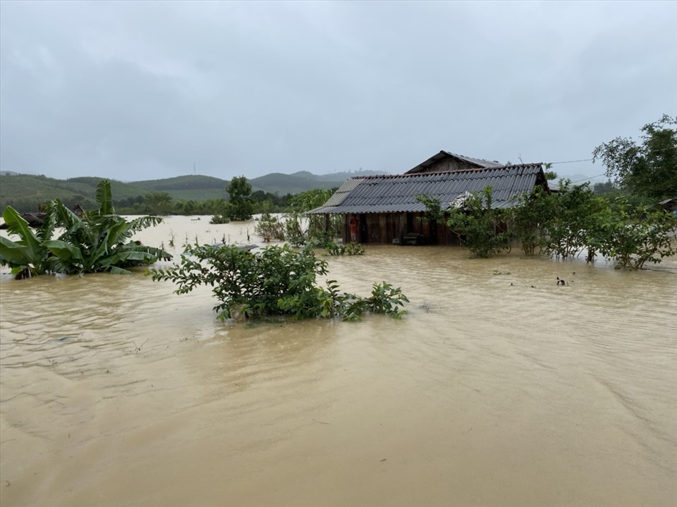 Trong một diễn biến liên quan, tại hồ Krông Pách thượng (huyện M'Đrắk) - dự án thuỷ lợi hàng nghìn tỉ đồng của Bộ NNPTNT đang xây dựng dang dở, hàng trăm hộ dân đang bị kẹt lại, cô lập trong vùng lòng hồ. Mức nước đến sáng ngày 30.11 đã dâng cao vượt cao trình +480m, nước tràn vào nhà dân. Như vậy, trận lụt này đã cao hơn đợt mưa lũ do bão số 12 gây ra cách đây hơn 20 ngày. Ảnh: B.T