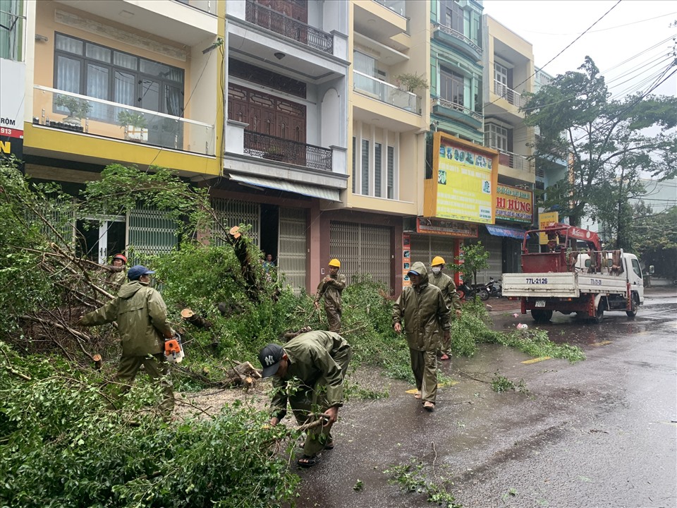 Các tuyến đường tại tỉnh Bình Định đã bị cây cối đổ ngã chắn ngang, gây ách tắc giao thông do ảnh hưởng của bão số 9 vừa qua. Ảnh: A.T
