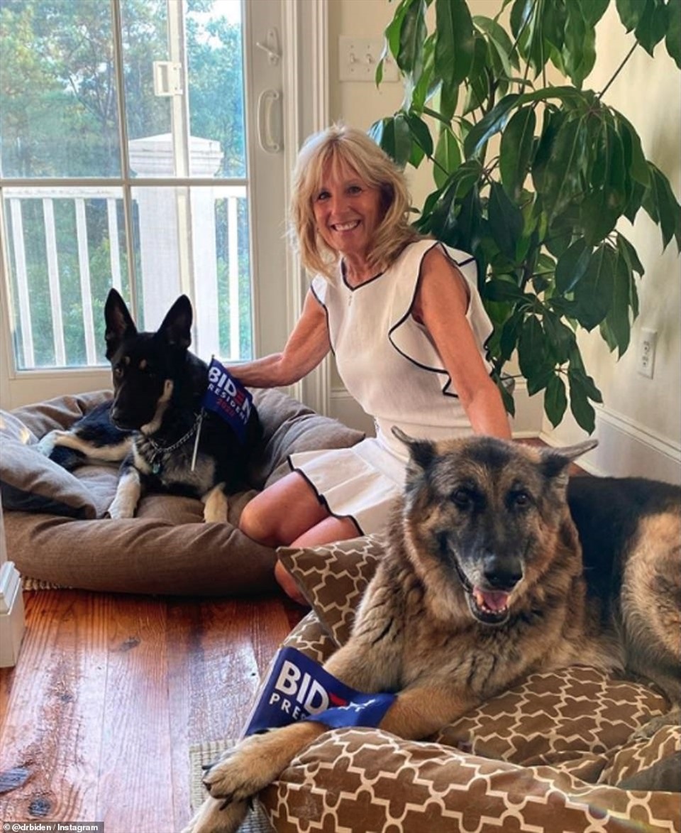 Vợ ông Joe Biden - bà Jill Biden cùng 2 chú chó cưng của ông bà là Major (trái) và Champ (phải) trong một bài đăng trên trang Instagram của bà. Ảnh: Instagram Jill Biden.