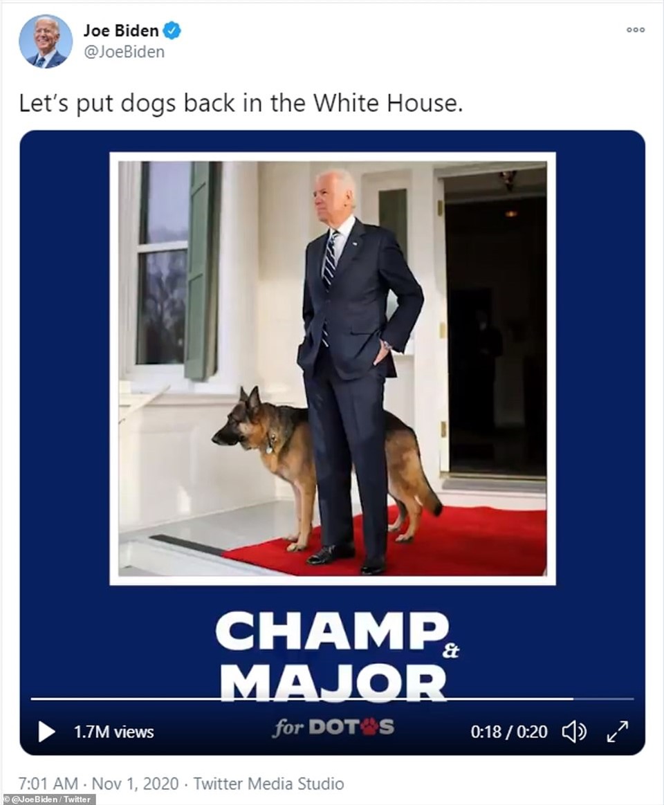 Trong chiến dịch vận động tranh cử tổng thống Mỹ 2020, ông Joe Biden từng chia sẻ mong muốn “đưa những chú chó trở lại Nhà Trắng“. Ảnh: