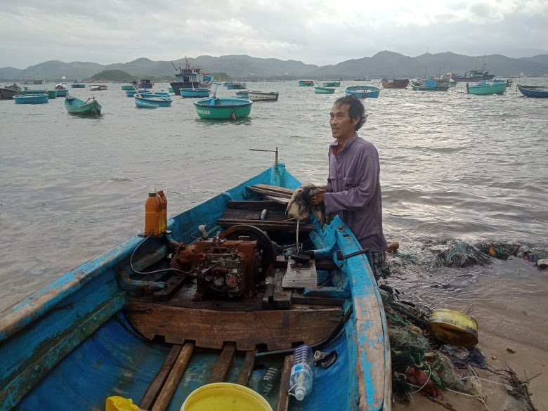 Ở vùng nuôi thị xã Sông Cầu (Phú Yên), người dân cũng chủ động thu hoạch cá tôm và di dời tàu, thuyền vào bờ tránh bão số 12 để giảm thiểu thiệt hại.