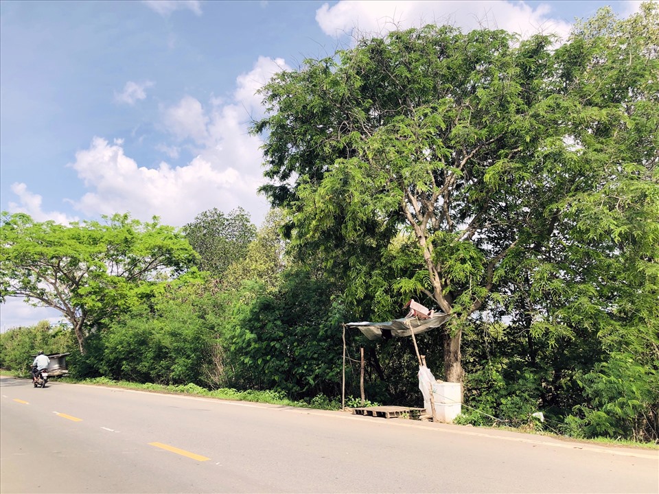 Một khu đất tại huyện Vĩnh Lợi, Bạc Liêu đã được tách thửa (ảnh Nhật Hồ)