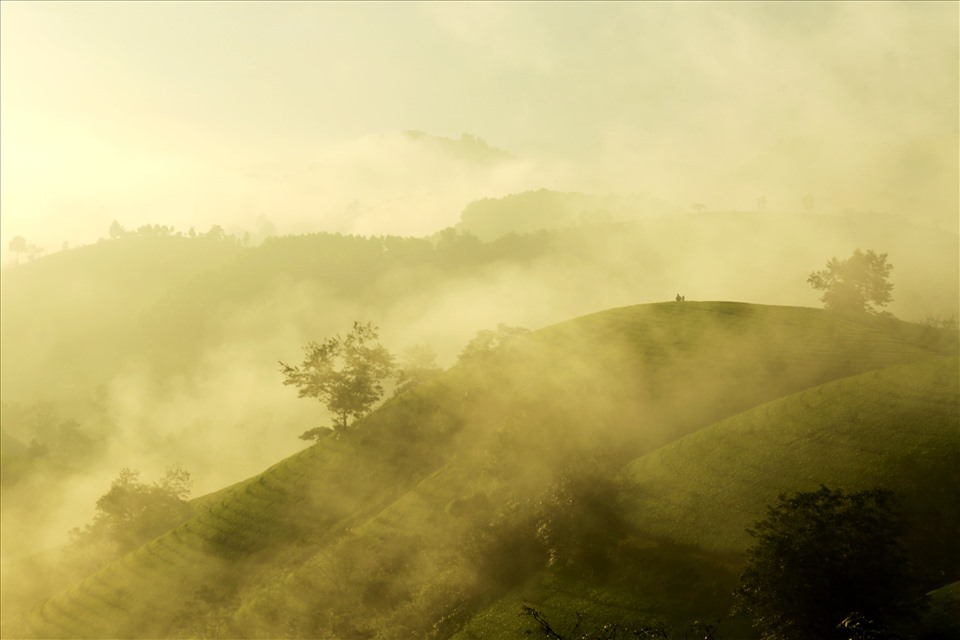Long Cốc được đánh giá là một trong những đồi chè đẹp nhất Việt Nam, với hàng trăm, hàng ngàn quả đồi nhỏ. Vào thời điểm giao mùa cuối thu đầu đông, vùng đồi chè bao phủ sương mù huyền ảo.