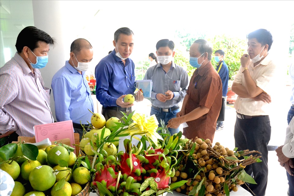 Các doanh nghiệp tham quan gian hàng trưng bày trái cây đặc sản của Đồng Tháp. Ảnh: Lục Tùng
