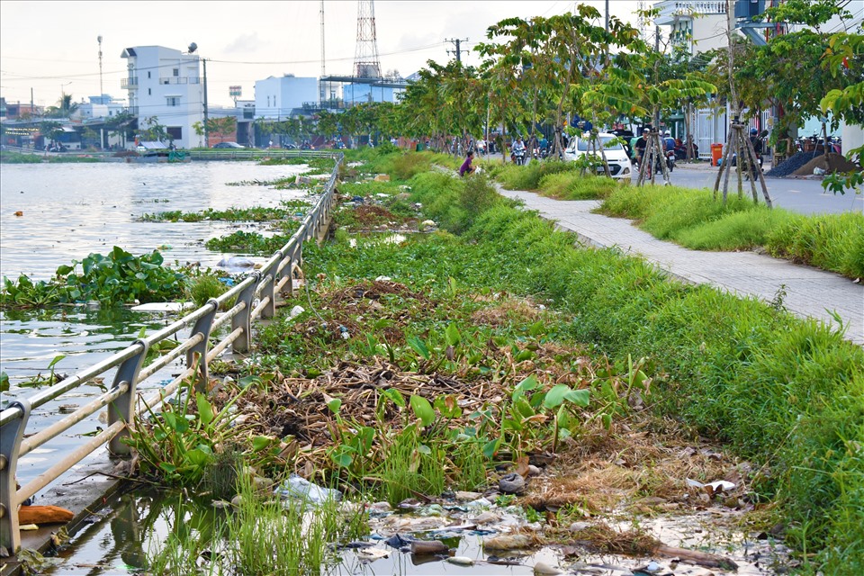 Theo phản ánh của người dân những ngày qua ở hồ bún xáng xuất hiện tình trạng ô nhiễm môi trường. Cụ thể, tại khu vực dành riêng cho người đi bộ nhiều đoạn trên bờ kè của hồ bún Xáng rác ứ đọng, cỏ mọc rất mất mỹ quan đô thị. Ảnh: Thành Nhân