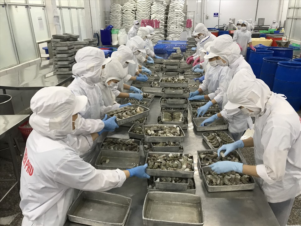 Công nhân trong các nhà máy chế biến thủy sản xuất khẩu tại Bạc Liêu không lo thiếu thưởng Tết dương lịch (ảnh Nhật Hồ)