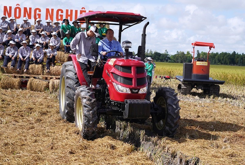 Những cánh đồng mẫu lớn nâng chất lượng và nâng tầm gạo Việt khi xuất khẩu ra thế giới. Ảnh: Lộc Trời