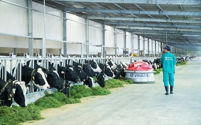 Với những sự đầu tư bài bản và bền vững trong kinh doanh sản xuất, Vinamilk hiện đang là 1 trong 50 công ty sữa lớn nhất thế giới.