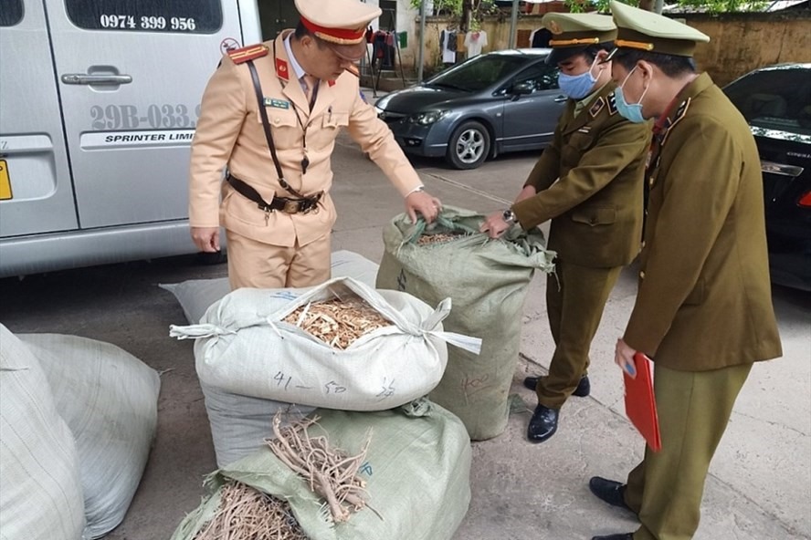 Lực lượng chức năng kiểm tra số nguyên liệu thuốc bắc nhập lậu. Ảnh: Quản lý thị trường Lạng Sơn cung cấp.