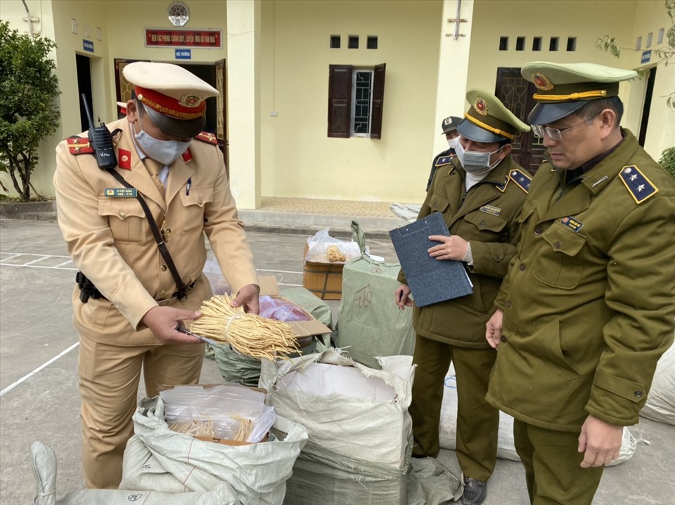 Lực lượng QLTT Lạng Sơn ngăn chặn hơn 1,2 tấn dược liệu nhập lậu. Ảnh: DMS