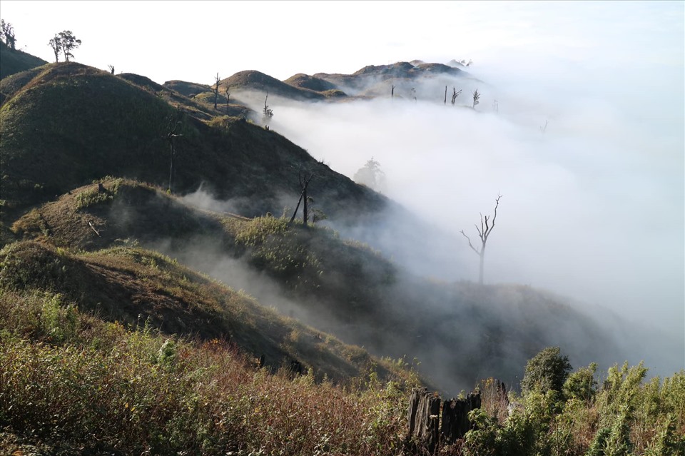 Nơi đây vốn được mệnh danh là nóc nhà Y Tý - địa điểm hoàn hảo để leo núi và săn mây trên đại ngàn.  Ảnh: Calvin Pham
